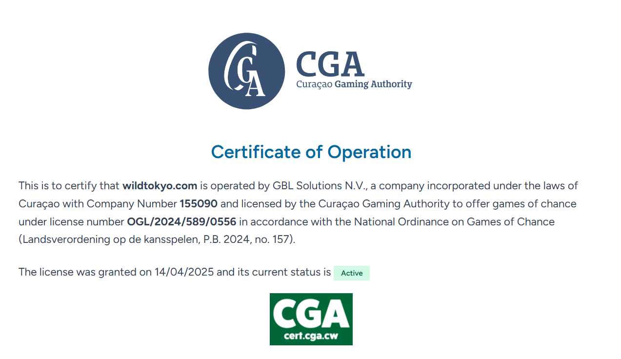 Wild Tokyo Security Audit